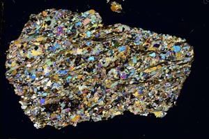 Cross Polarized, S8321