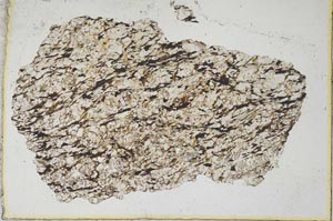 Plane Polarized, S8321