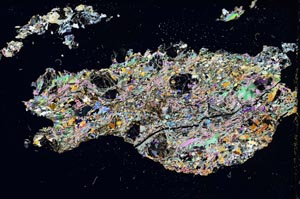 Cross Polarized, S8322