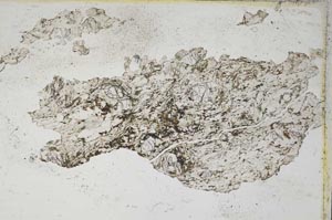 Plane Polarized, S8322