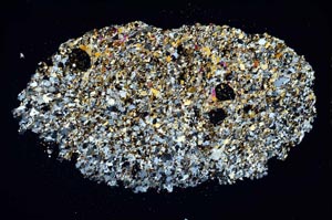 Cross Polarized, S8323