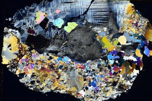 Cross Polarized, S8324