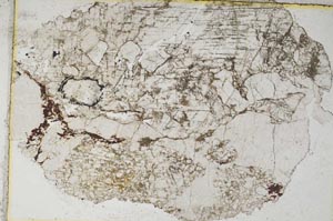 Plane Polarized, S8324