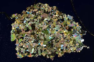 Cross Polarized, S8325