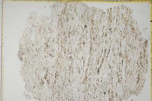 Plane Polarized, S8326