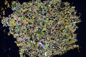 Cross Polarized, S8327