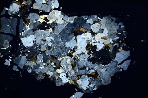 Cross Polarized, S8329