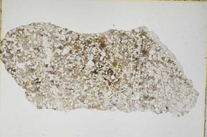 Plane Polarized, S8330