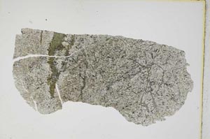 Plane Polarized, S8375