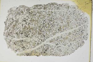 Plane Polarized, S8381
