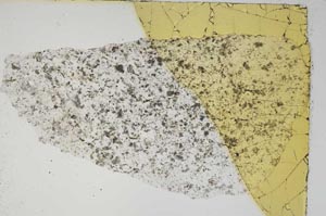 Plane Polarized, S8386