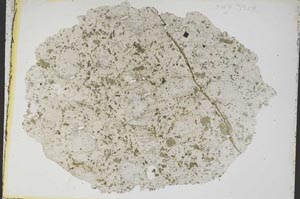 Plane Polarized, S8392
