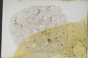 Plane Polarized, S8393
