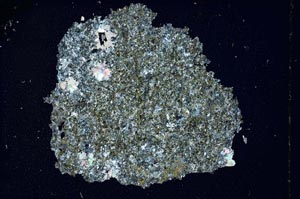 Cross Polarized, S8443