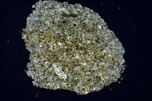 Cross Polarized, S8445