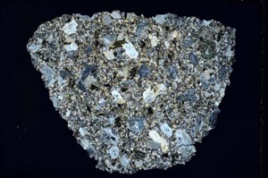 Cross Polarized, S8446