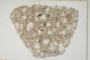 Plane Polarized, S8446