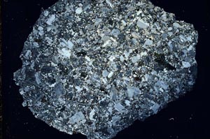 Cross Polarized, S8447