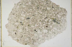 Plane Polarized, S8447