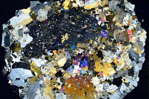 Cross Polarized, S8451