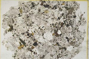 Plane Polarized, S8451