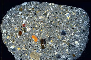 Cross Polarized, S8454