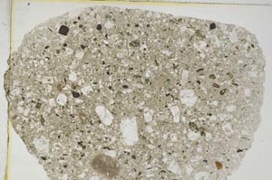 Plane Polarized, S8454