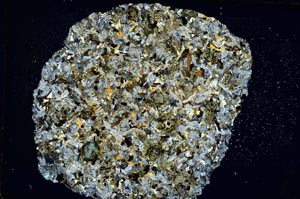 Cross Polarized, S8455