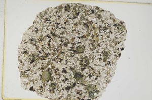 Plane Polarized, S8455