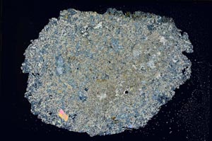 Cross Polarized, S8456