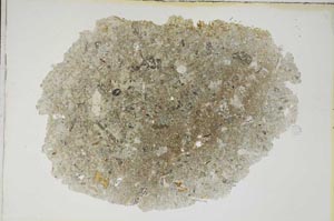 Plane Polarized, S8456