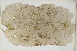 Plane Polarized, S8458