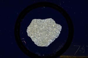 Cross Polarized, S75