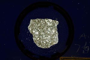 Cross Polarized, S75/A