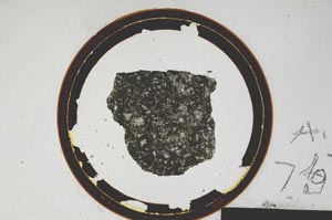 Plane Polarized, S75/A