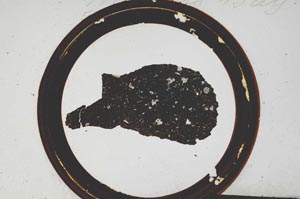 Plane Polarized, S129