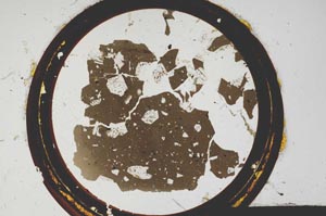 Plane Polarized, S149