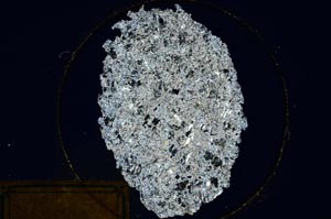 Cross Polarized, S167