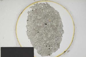 Plane Polarized, S167