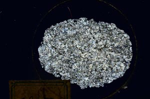 Cross Polarized, S169