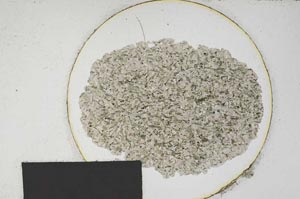 Plane Polarized, S169