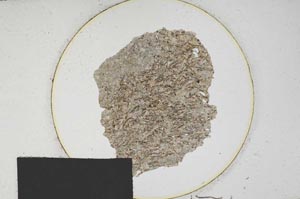 Plane Polarized, S170