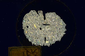 Cross Polarized, S171