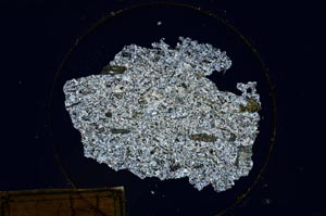 Cross Polarized, S172