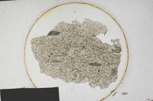 Plane Polarized, S172