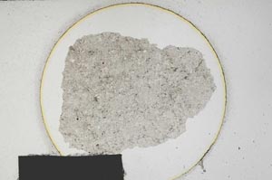Plane Polarized, S179