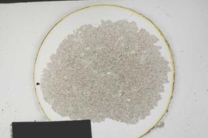 Plane Polarized, S180