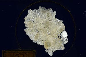 Cross Polarized, S173