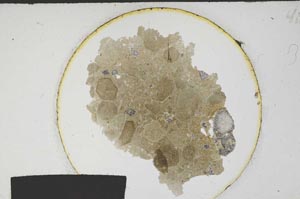 Plane Polarized, S173