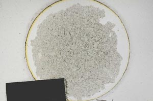 Plane Polarized, S174